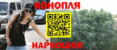 гидра Лесосибирск