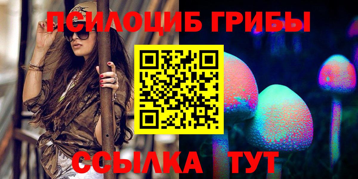 Галлюциногенные грибы Psilocybe  где продают наркотики  Хабаровск  Вход с VPN  Псилоцибиновые грибы ЛСД 